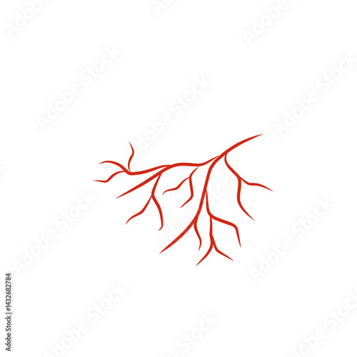 illustration of human blood vessels
