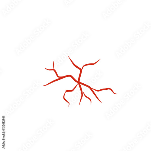 illustration of human blood vessels