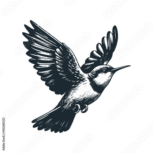 Hummingbird in Flight: Hovering with Rapidly Beating Wings – Black and White Icon Vector and Illustration