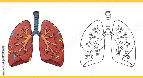 Lungs Diagram: A detailed diagram illustrating the human lungs with artistic representation. Perfect for educational and scientific purposes.