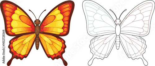 Butterfly transformation: A stunning illustration showcasing a butterfly's transition from a vibrant, colored state to a line drawing, highlighting the process of transformation.