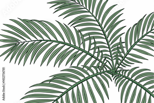 50 tropical palm fronds, top-down view, vibrant green leaves, radiating pattern, botanical illustration, detailed leaf texture, symmetrical composition, indoor plant, natural light, white background, 