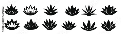 black silhouettes of lotus and agave plants