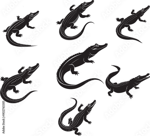 Crocodile silhouettes
