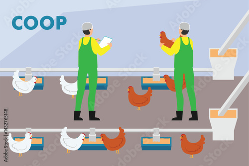 sustainable and organic chicken farming practices