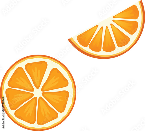  Orange Slices Vector Illustration