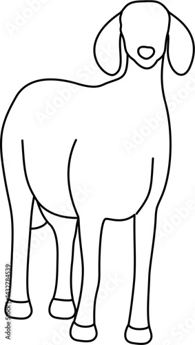 faceless eid al adha animal outline coloring 