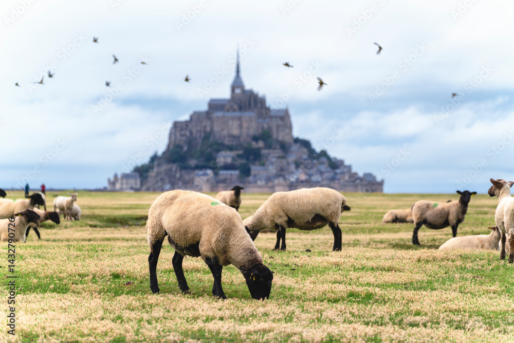 Grazing sheep dot a vibrant pasture beneath a cloudy sky, with Mont-Saint-Michel rising like a fairytale fortress in the background.