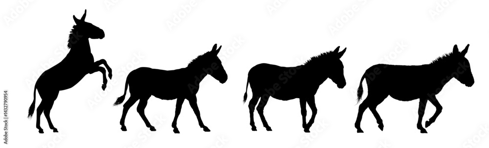 Fototapeta premium Set of donkey silhouette – vector illustration