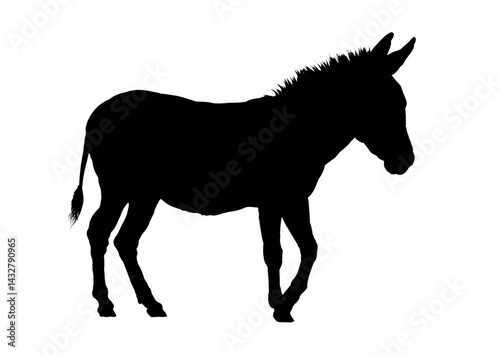 Donkey silhouette – vector illustration