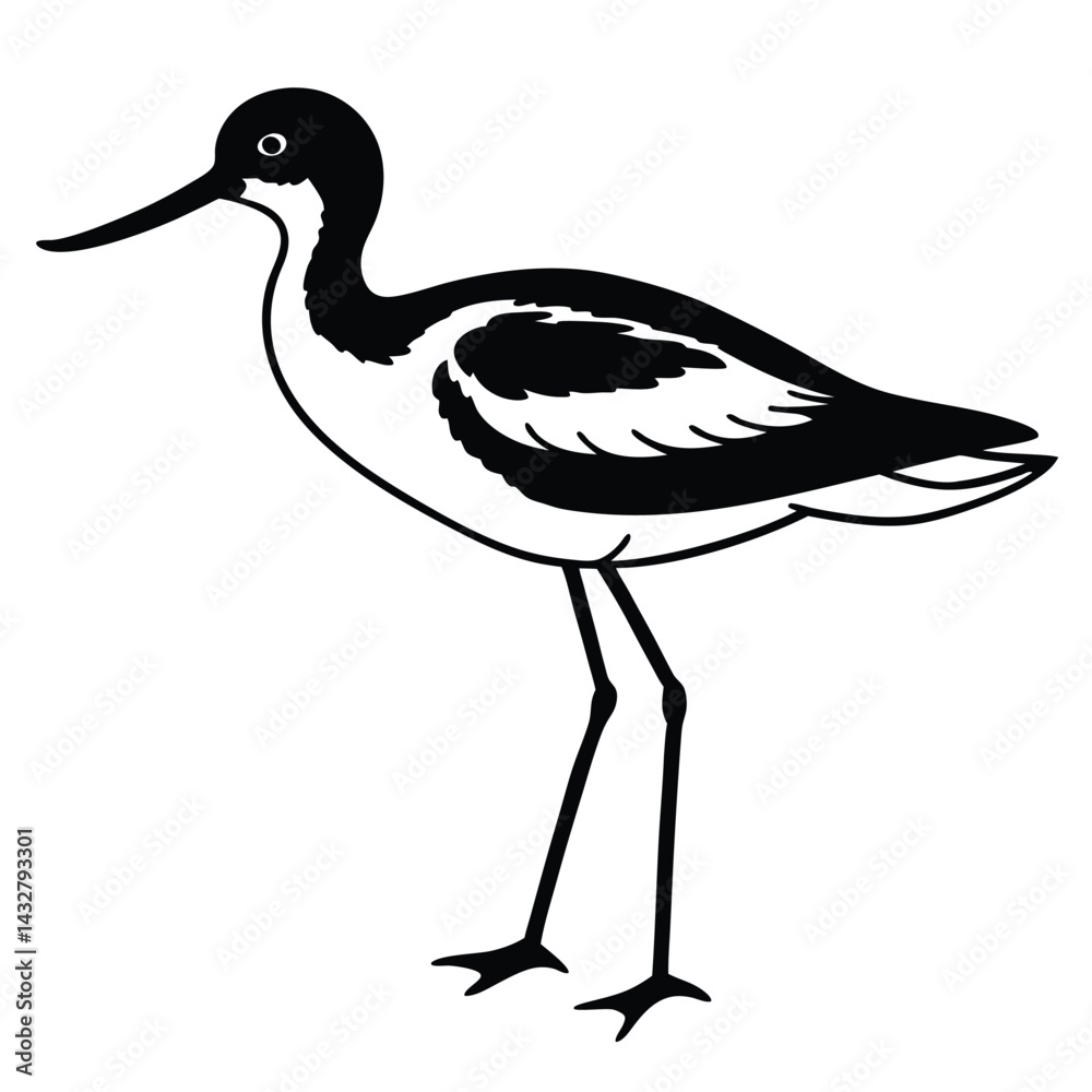 Naklejka premium avocet vector