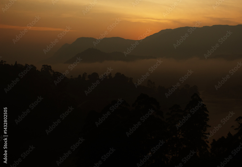 custom made wallpaper toronto digitalGolden mist blankets mountain silhouettes.