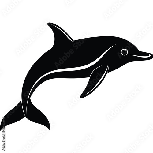 baiji yungtze river dolphin