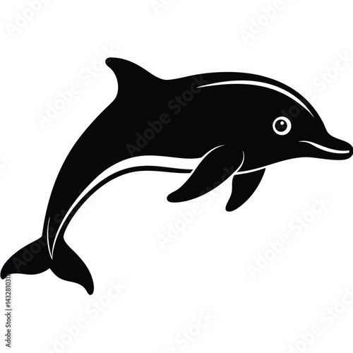 baiji yungtze river dolphin