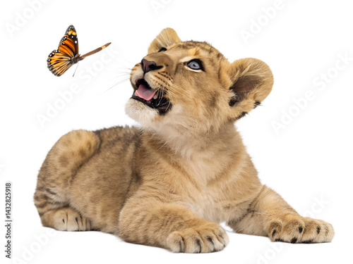 A cute group portrait shows a cat, a dog, and a young lion cub sitting as domestic pets against a Transparent background