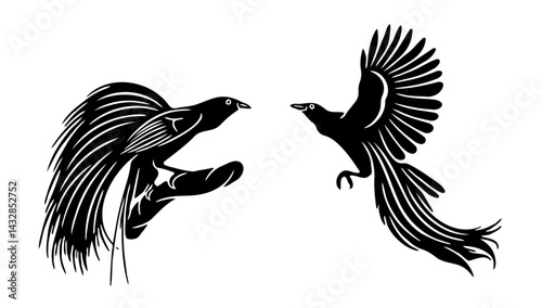 flying bird of paradise vector