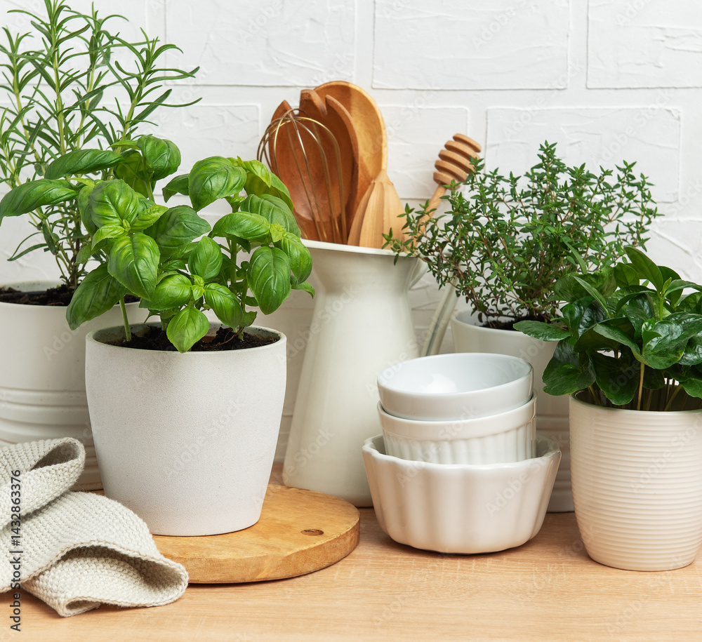 Fresh herbs growing in pots decorating modern kitchen countertop