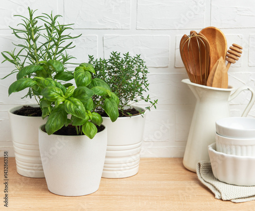 Obraz na płótnie Fresh herbs growing in pots on kitchen countertop w salonie