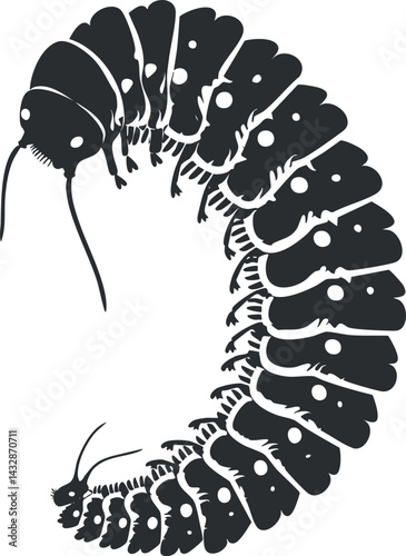 Black and white silhouette of a curled millipede showing multiple legs and antennae in detail