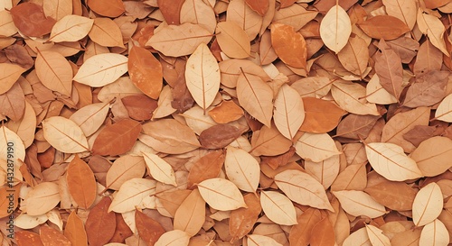 Dry Leaves Background Texture