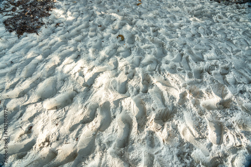 Obraz na płótnie Close-up texture of soft white coral sand with footprints, lit by tropical sunlight on a beach w salonie
