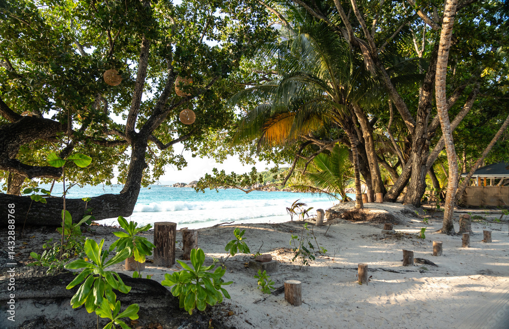 Tropical entrance to Anse Lazio beach in Seychelles with white sand, palm trees