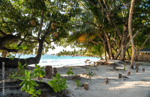 Obraz na płótnie Tropical entrance to Anse Lazio beach in Seychelles with white sand, palm trees w salonie