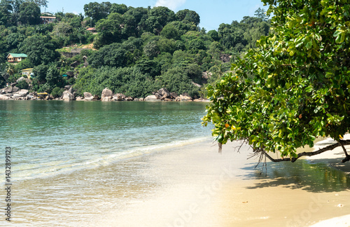 Obraz na płótnie Coastal view of Anse Marie Louise in Seychelles with sandy beach, calm water, green hills w salonie