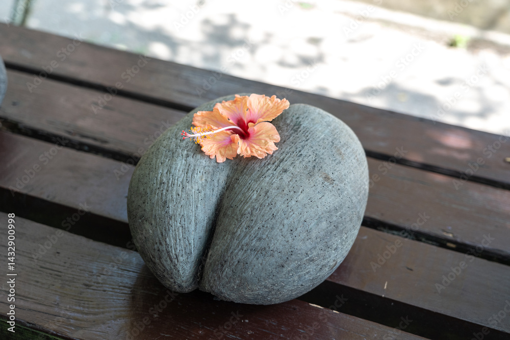 Close-up of the rare Coco de Mer nut from Seychelles with a hibiscus flower on top