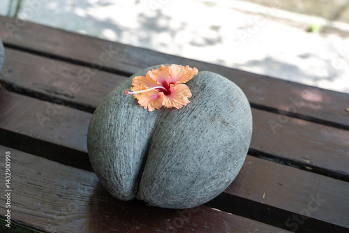 Close-up of the rare Coco de Mer nut from Seychelles with a hibiscus flower on top