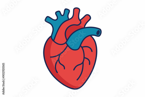 heart vector illustration  