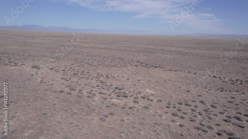 Two gazelles are running away from a drone across the steppe. Gazella subgutturosa overcomes obstacles in the form of bushes very quickly. Dust flies from under the hooves. Gazelles in the wild