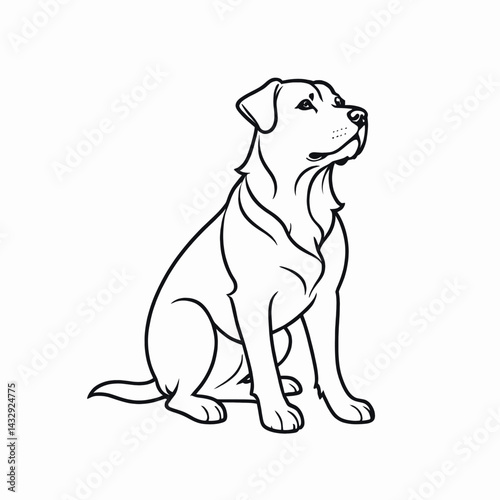 Elegant Line Art Drawing of a Labrador Retriever Dog Sitting on a Transparent Background