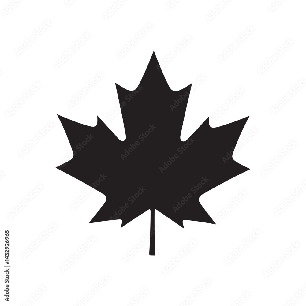 Fototapeta premium canadian maple leaf