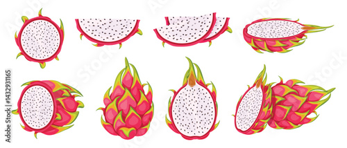 Set of fresh dragon fruits in cartoon style. Vector illustration of tropical sweet pitaya with bright pink skin, white pulp, dark seeds: whole, halves, slices, round isolated on white background.