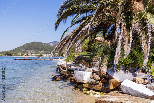 Fototapeta Naklejka Na Ścianę i Meble -  Idyllic beach landscape featuring a lush palm tree, weathered rocks, and sparkling clear water. A coastal town and mountains are visible in the distance.