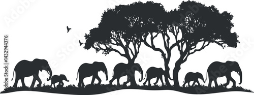 Silhouette of a herd of elephants walking in nature near trees with birds flying overhead