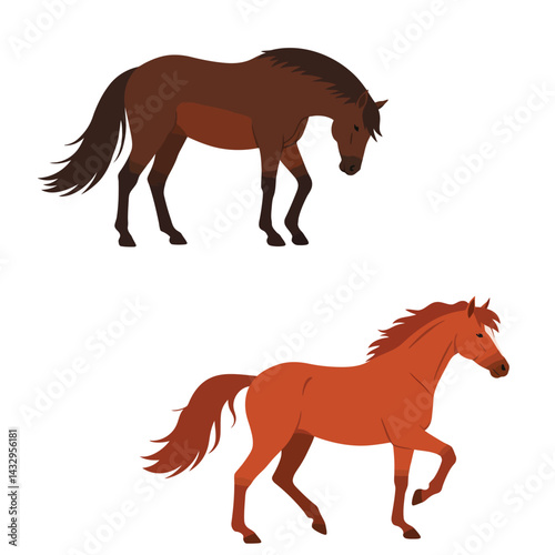 Horse isolated set hand drawn vector stock illustration