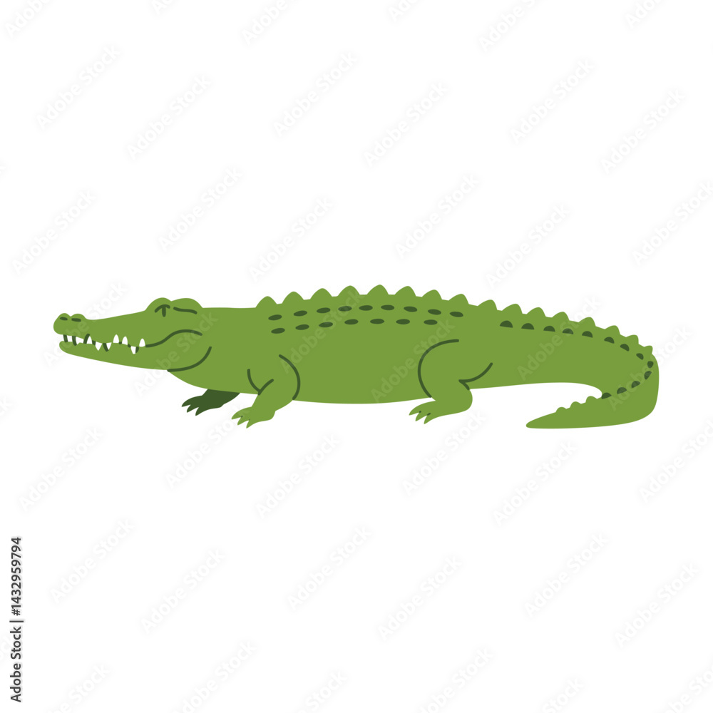 Fototapeta premium Crocodile. vector illustration of deer in cartoon flat style. Male or female deer wild life animal isolated in white background. Cute different poses deer with long horns for logo, icon, infographic, 