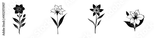 Obraz na płótnie Illustration of four distinct black floral designs showcasing varying styles and details of lilies w salonie