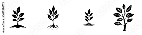 Black icon set representing growth phases of a plant from seedling to maturity