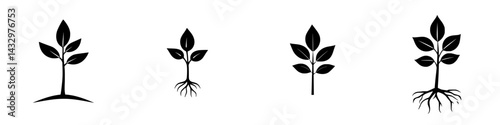 Black icon depicting various stages of plant growth with roots, showcasing development from seedling to mature plant