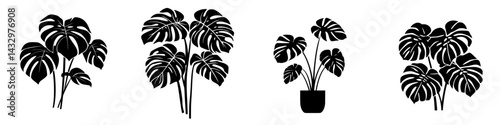Beautiful black icon designs of tropical plants perfect for modern decor and artistic projects