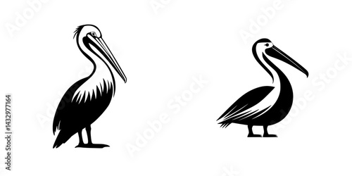 Detailed black icons of pelicans displaying unique features and characteristics in a minimalistic style