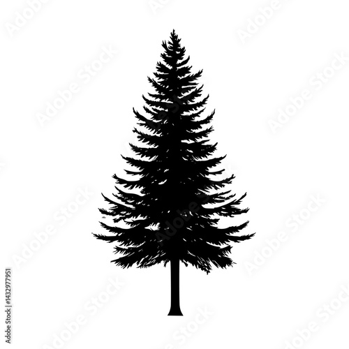Tall evergreen tree silhouette against a plain background highlighting its distinctive vertical shape and lush branches