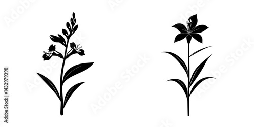 Black botanical icons depicting two different flower designs with detailed leaves and petals suitable for graphic usage