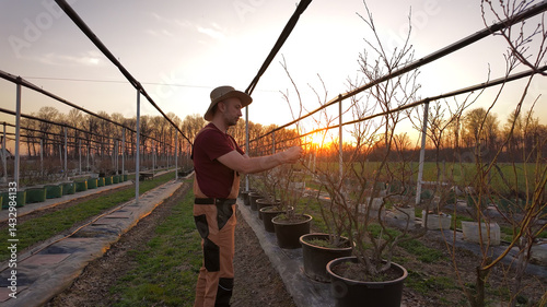 Obraz na płótnie Male gardener working in a blueberries organic farm. w salonie