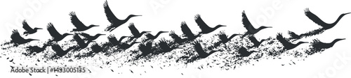 Black silhouette illustration of birds flying in formation depicting migration and freedom in nature