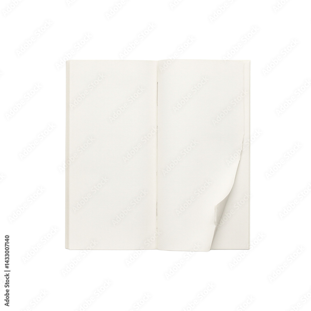 Isolated torn page corner from a book Isolated torn page corner from a book