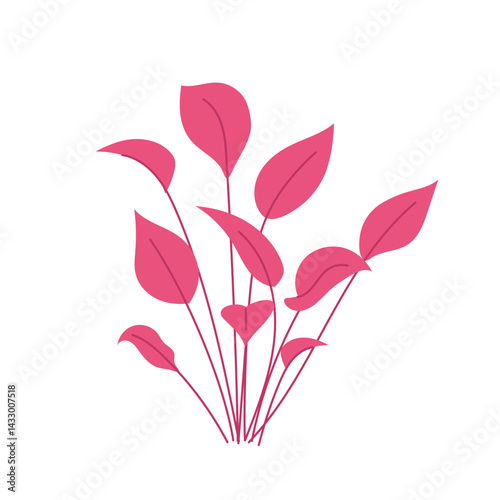 Decorative aquarium algae. Pink leaves. Underwater flora, plant. Flat illustration oceanic, riverine, sea or lakeine seaweed on white.